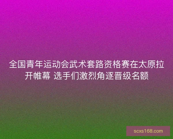 全国青年运动会武术套路资格赛在太原拉开帷幕 选手们激烈角逐晋级名额