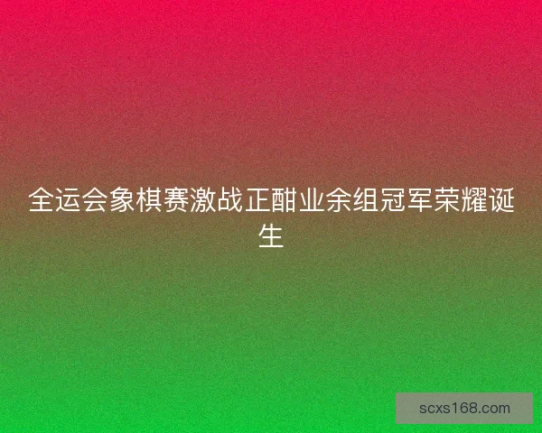 全运会象棋赛激战正酣业余组冠军荣耀诞生