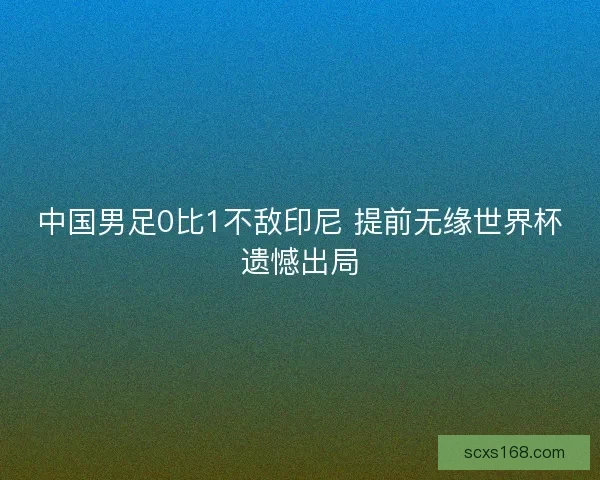中国男足0比1不敌印尼 提前无缘世界杯遗憾出局
